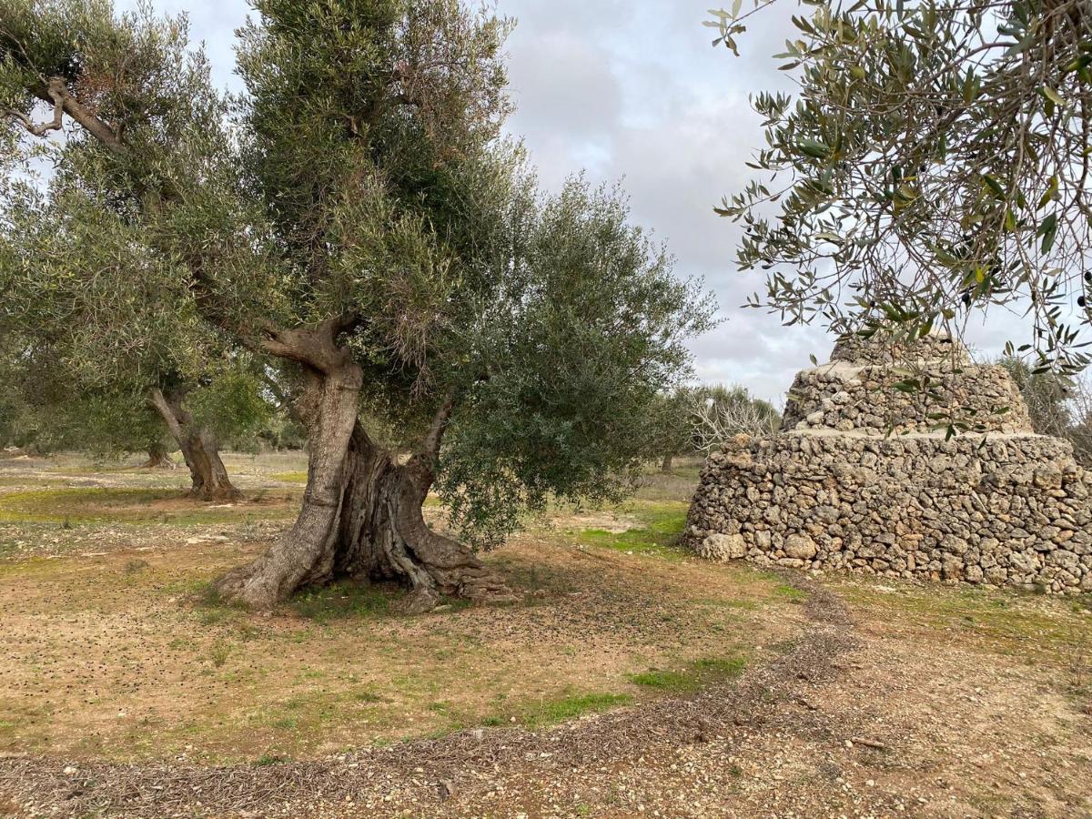 Casa Vacanze Lisa Torre Ovo Esterno foto